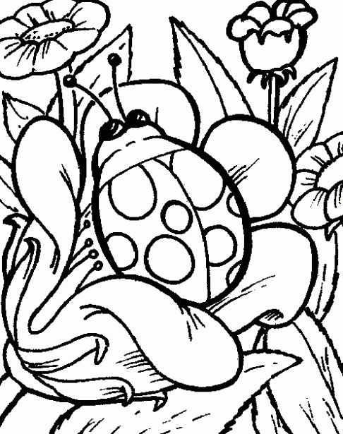 dibujos-colorear-naturaleza-g