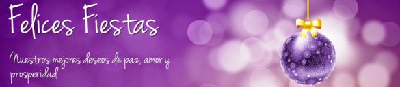 546e623a5dcb8-banner-navidad2014.jpg (880×194)